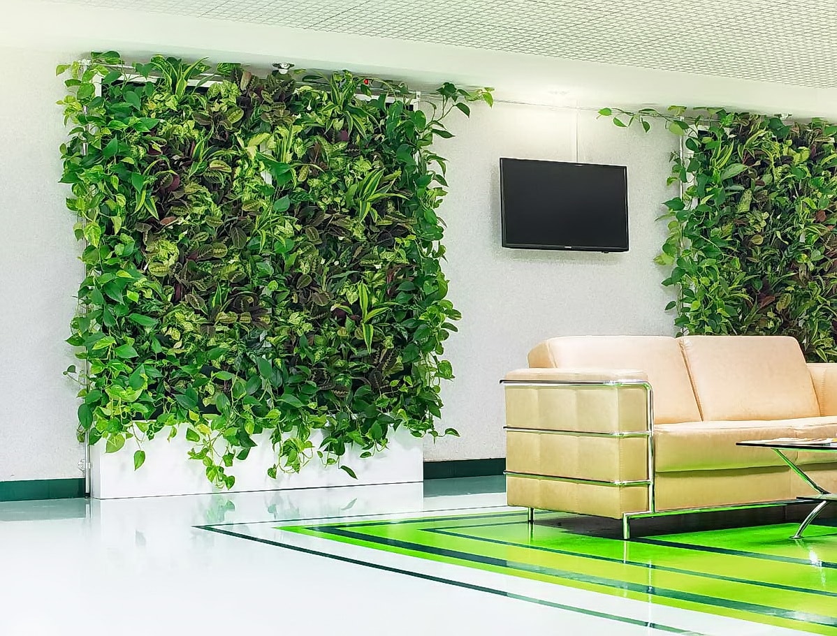 зеленая стена из растений
