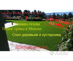 Стрижка газона в Минске, стрижка травы - Image 3