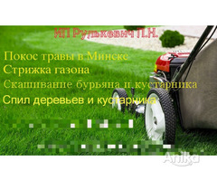 Покос травы в Минске, стрижка газона - Image 3