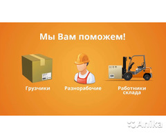 Заказать услуги грузчиков в г. Минске - Image 4