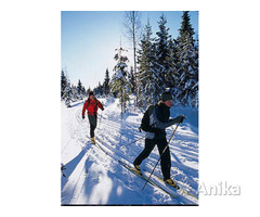 Аренда беговых лыж в Зелёном луге - Image 3