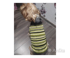 Свитер кофта комбинезон платье для собак котов - Image 2