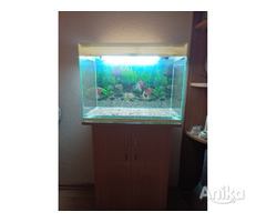 Продам аквариум - Image 3