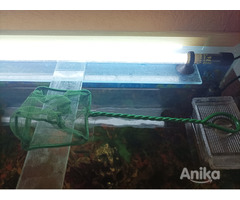 Продам аквариум - Image 7