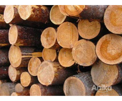 Услуги по распиловке древесины - Image 2