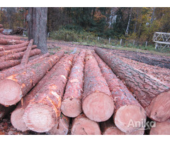 Услуги по распиловке древесины - Image 3
