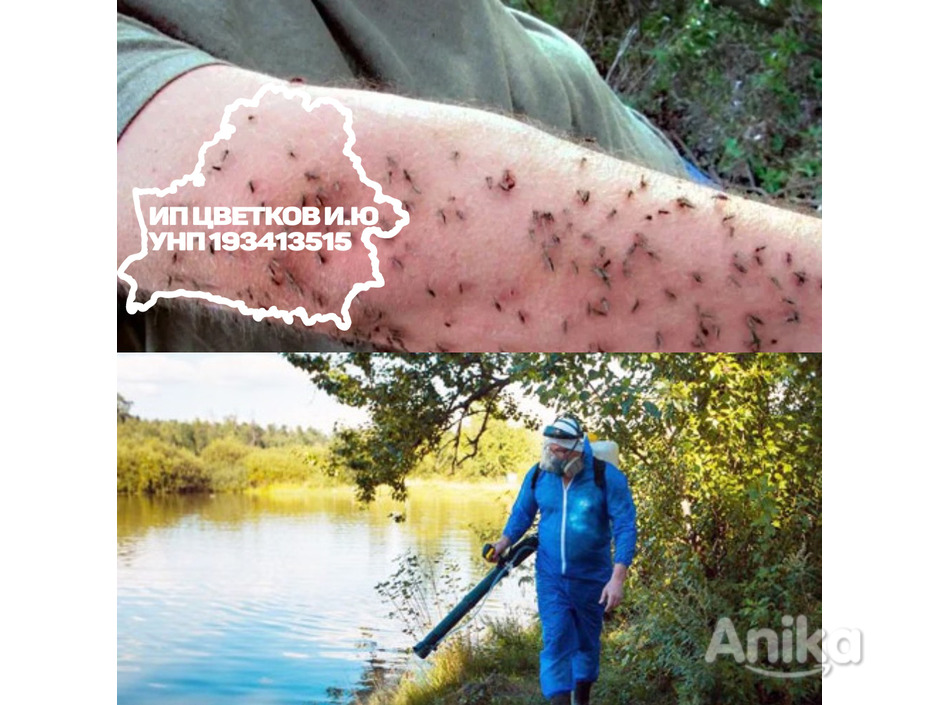 Ларвицидная обработка от комаров, мошки , гнуса ! - 3