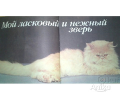 Книга о кошках - Image 2