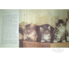 Книга о кошках - Image 3