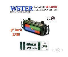 24W КАРАОКЕ система WSTER + 2 микрофона беспроводной бумбокc