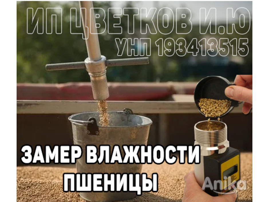 Измерение влажности пшеницы в Беларуси поверенным влагомером Wile55 - 1