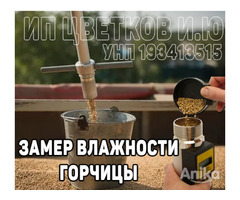 Измерение влажности горчицы в Беларуси поверенным влагомером Wile55 