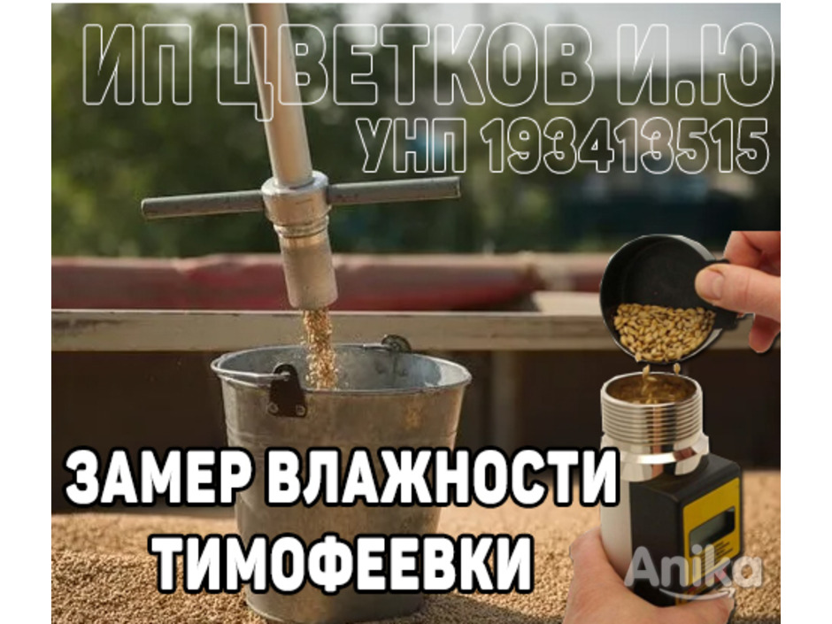 Измерение влажности тимофеевки в Беларуси поверенным влагомером Wile55 - 1