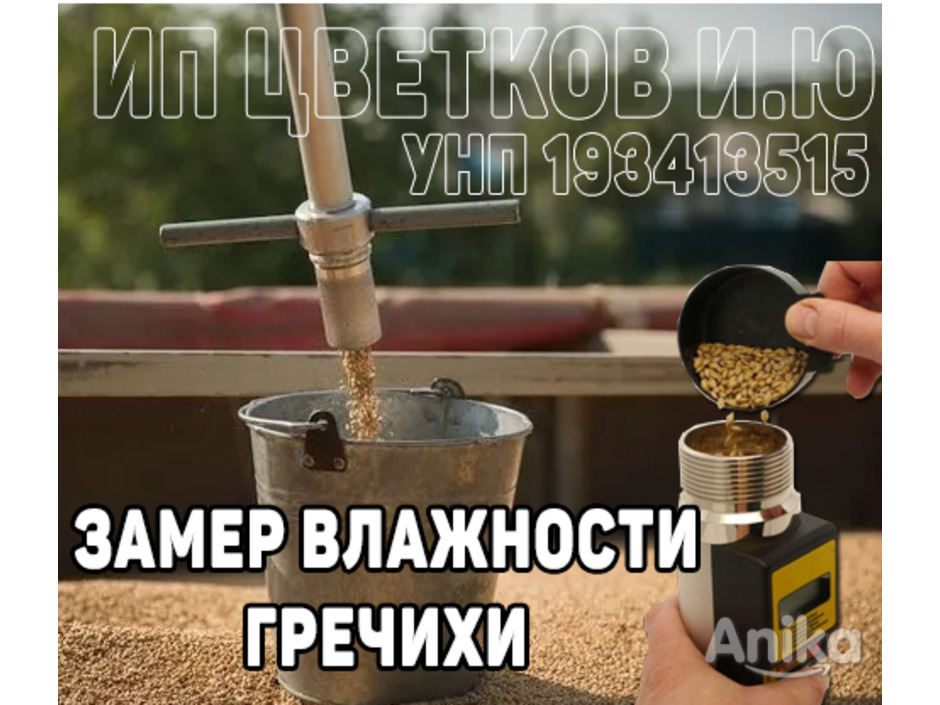 Измерение влажности гречихи в Беларуси поверенным влагомером Wile55 - 1