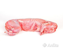 Мясо кролика, крольчатина - Image 2