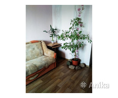 Продам 3-комнатную квартиру в Молодечно - Image 11